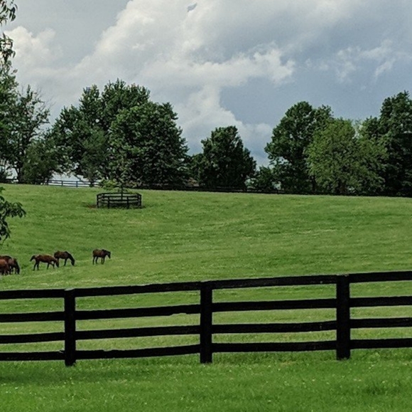 Meet your Posher, Kim - Picture 5 of 7